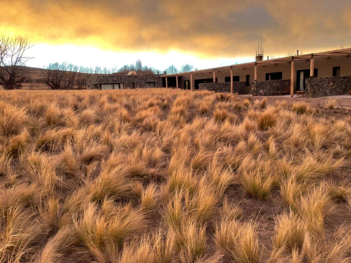 Rancho Adobe Eco Hotel Tupungato Bagian luar foto